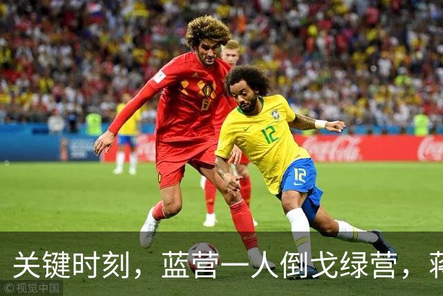关键时刻，蓝营一人倒戈绿营，蒋万安没说“我是中国人”遭反噬？